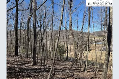 Tbd Roby Poe Road, Jefferson, NC 28640 - Photo 4