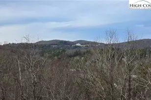 167 Cone Vista Cir, Blowing Rock, NC 28605 - Photo 6