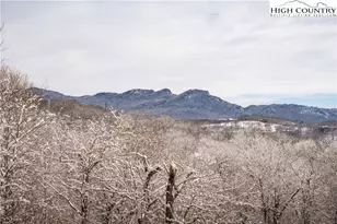 138 Windy Knoll, Sugar Mountain, NC 28604 - Photo 2