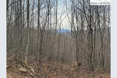 1260 & 1228 Nc Highway 194 S, Todd, NC 28684 - Photo 32