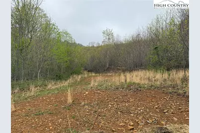 1260 & 1228 Nc Highway 194 S, Todd, NC 28684 - Photo 38