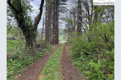 1260 & 1228 Nc Highway 194 S, Todd, NC 28684 - Photo 42