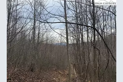 1260 & 1228 Nc Highway 194 S, Todd, NC 28684 - Photo 30