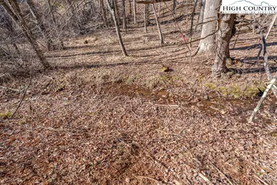 1260 & 1228 Nc Highway 194 S, Todd, NC 28684 - Photo 12