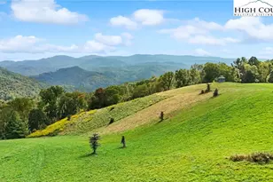 423 Beaver Dam Farm Rd, Vilas, NC 28692 - Photo 4