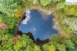 423 Beaver Dam Farm Rd, Vilas, NC 28692 - Photo 10