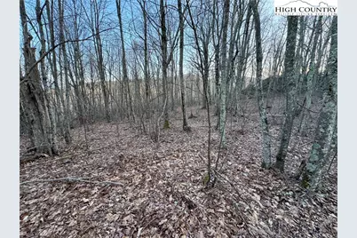 Tbd Pigeon Roost Road, Banner Elk, NC 28604 - Photo 12