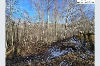 Lot 22 Bluff Canyon Drive, West Jefferson, NC 28684 - Photo 2