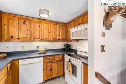 1540 Rich Mountain Road, Zionville, NC 28698 - Photo 22