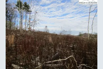 Tbd Plumb Nearly Rd, Crumpler, NC 28617 - Photo 22