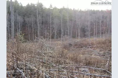 Tbd Plumb Nearly Rd, Crumpler, NC 28617 - Photo 14