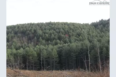 Tbd Plumb Nearly Rd, Crumpler, NC 28617 - Photo 28