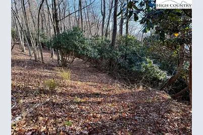 Tbd Pheasant Walk Way, Vilas, NC 28692 - Photo 4