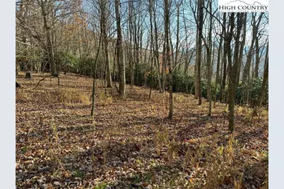 Tbd Pheasant Walk Way, Vilas, NC 28692 - Photo 6