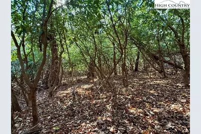 Tbd Pheasant Walk Way, Vilas, NC 28692 - Photo 14