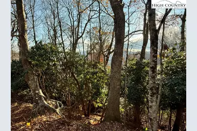 Tbd Pheasant Walk Way, Vilas, NC 28692 - Photo 20