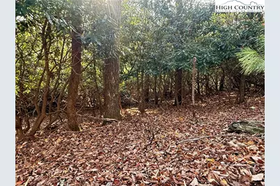 Tbd Pheasant Walk Way, Vilas, NC 28692 - Photo 10