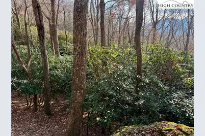 Tbd Pheasant Walk Way, Vilas, NC 28692 - Photo 16