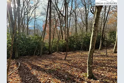 Tbd Pheasant Walk Way, Vilas, NC 28692 - Photo 8