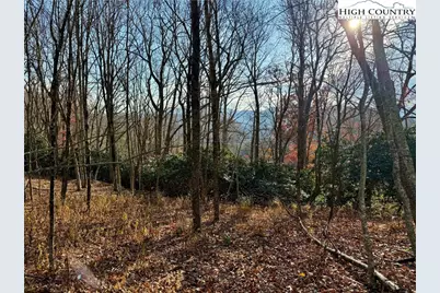 Tbd Pheasant Walk Way, Vilas, NC 28692 - Photo 18