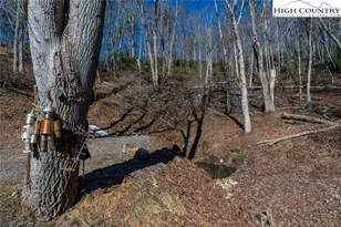 283 Deer Ridge Rd, Crumpler, NC 28617 - Photo 34