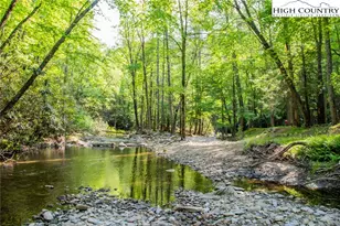 216 Saddle Ln, Deep Gap, NC 28618 - Photo 44