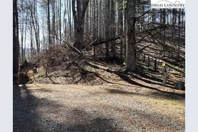 Lot 16 Woodlands Drive, Piney Creek, NC 28663 - Photo 8