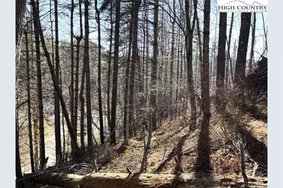 Lot 16 Woodlands Drive, Piney Creek, NC 28663 - Photo 1