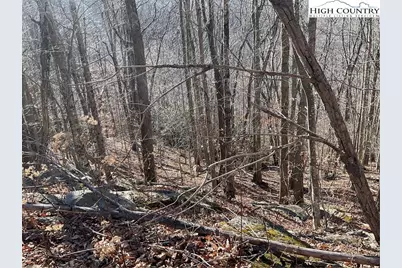 104 Wintercrest Lane, Beech Mountain, NC 28604 - Photo 8