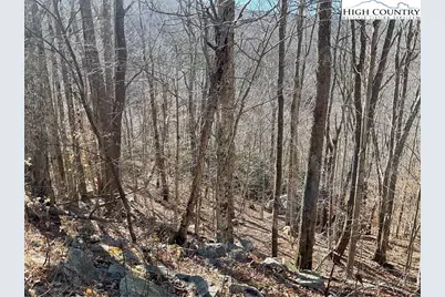 104 Wintercrest Lane, Beech Mountain, NC 28604 - Photo 1