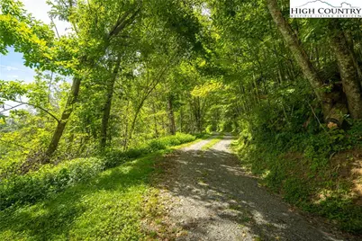 Tbd Georges Gap Road, Vilas, NC 28692 - Photo 6