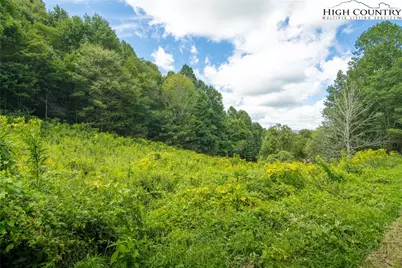 Tbd Georges Gap Road, Vilas, NC 28692 - Photo 10