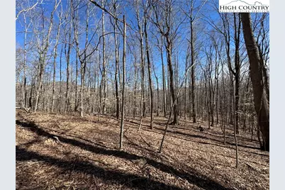 82 +/- Acres Double Head Mountain Road, Newland, NC 28657 - Photo 2