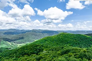 82 +/- Acres Double Head Mountain Rd, Newland, NC 28657 - Photo 1