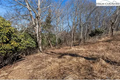 Tbd Parkway Forest Drive, Blowing Rock, NC 28605 - Photo 18