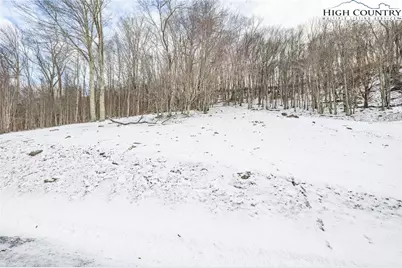 295 Supreme Golden Road, Banner Elk, NC 28605 - Photo 34