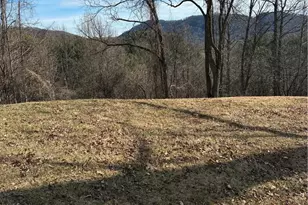 Tbd Buckeye Ridge Run, Sparta, NC 28675 - Photo 1