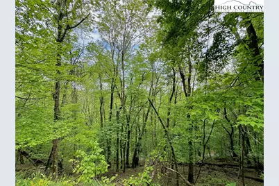 Tbd Alpine Drive, Seven Devils, NC 28604 - Photo 8