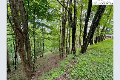 Tbd Alpine Drive, Seven Devils, NC 28604 - Photo 14