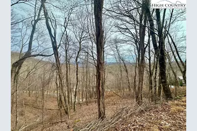 Tbd Alpine Drive, Seven Devils, NC 28604 - Photo 2