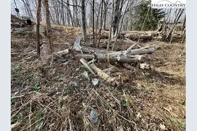 5221 Nc Highway 105, Banner Elk, NC 28604 - Photo 10