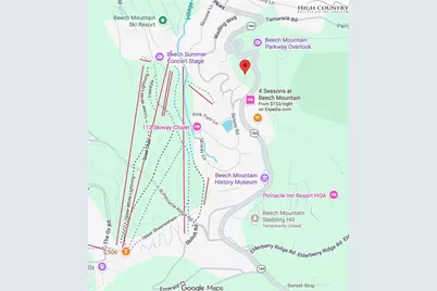 103 Snowplow Lane, Beech Mountain, NC 28604 - Photo 4