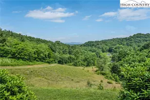 12443 Old Hwy 16, Grassy Creek, NC 28631 - Photo 4