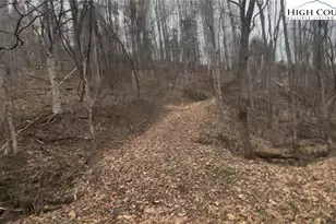 Tbd Martinez Rd, Crumpler, NC 28617 - Photo 1