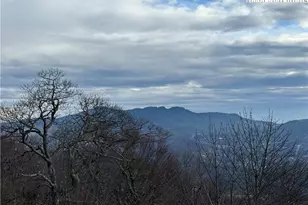 3441 S Beech Mountain Pkwy, Beech Mountain, NC 28604 - Photo 28