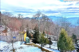 3441 S Beech Mountain Pkwy, Beech Mountain, NC 28604 - Photo 26