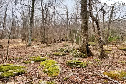 Lot 33 Wapiti Way, Blowing Rock, NC 28605 - Photo 10