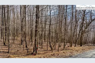 Tbd-20 Townview Street, West Jefferson, NC 28694 - Photo 6