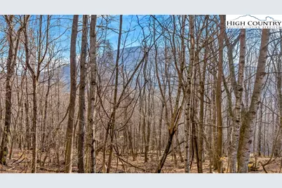 Tbd-20 Townview Street, West Jefferson, NC 28694 - Photo 2