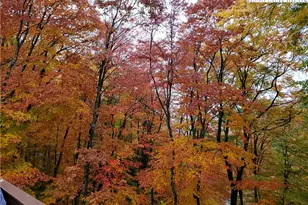 217 Rainbow Ridge Rd, Zionville, NC 28698 - Photo 44